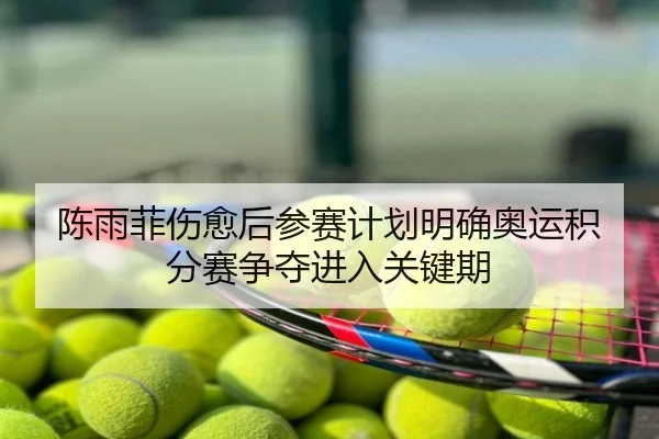 陈雨菲伤愈后参赛计划明确奥运积分赛争夺进入关键期（biwei）